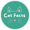 Cat Facts biểu tượng