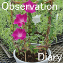 observation diary APK