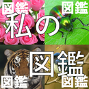 私の図鑑 APK