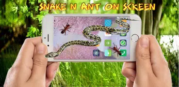 Snake on screen