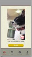 Mew and Me تصوير الشاشة 1