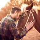 Horse With Man Photo Suit HD APK