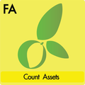 Count Assets