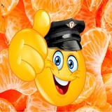Такси Мандарин Абхазия APK