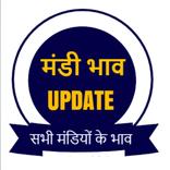 Mandi Bhav/मंडी भाव