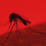 Mosquito Sound Effects icône