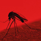 Mosquito Sound Effects biểu tượng