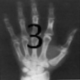 MANUAL RADIOLOGIA 3 ikona