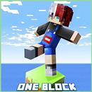 One Block Map for Minecraft PE APK
