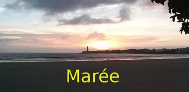 Maree