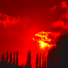 Paranormal Weather Check biểu tượng