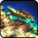 a world of marine documentaries APK