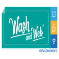 Wash And Web (Mexico City)