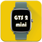 Amazfit GTS2 mini Watchfaces icône