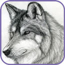 APK How to draw a wolf in stages