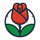 Red Rose Flowers Wallpapers HD icon