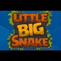 Little Big Snake.io poster