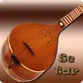 Persian Setar