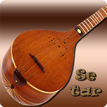 ”Saz Persian Setar Pro