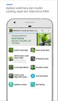 Masteran Cucak Ijo Full Plakat