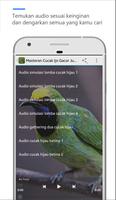 Masteran Cucak Ijo Full تصوير الشاشة 1
