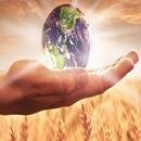 Mastering Abundance (Pro) APK