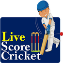 Live Cricket Scores & Updates Match Info🏏 APK
