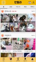 반동라-반려동물,고양이,강아지,유기견후원 پوسٹر