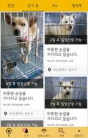 반동라-반려동물,고양이,강아지,유기견후원 اسکرین شاٹ 1