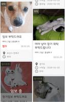 반동라-반려동물,고양이,강아지,유기견후원 اسکرین شاٹ 2