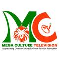 MC MULTIMEDIA