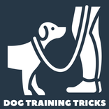 Dog Training Tricks