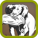 Chiens de chasse APK