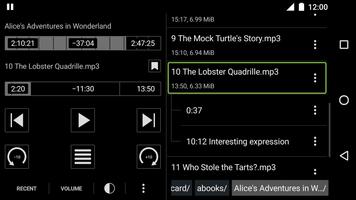 Simple Audiobook Player تصوير الشاشة 3