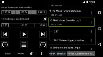 Simple Audiobook Player capture d'écran 3