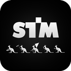 STM icône