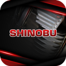 Shinobu : ชิโนบุ APK