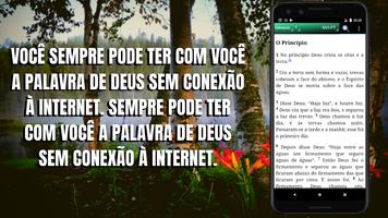 Bible NVIPT, International Version (Portuguese) plakat