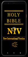 NIV Bible - Holy Bible (NIV) poster
