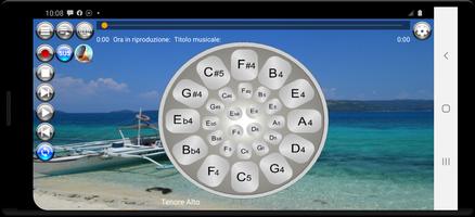 2 Schermata Strumento musicale Steel Drums
