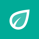 Luftdaten: Air Quality