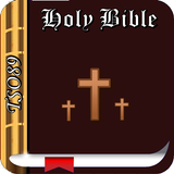 Holy Bible Tsonga(TSO89) icône