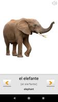 Learn Spanish words with ST screenshot 2