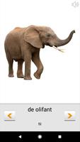 Hollandaca kelimeleri öğrenin Ekran Görüntüsü 2