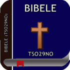 Bibele Tsonga(TSO29NO) simgesi