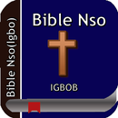 Holy Bible Nso Igbob(Igbo) APK
