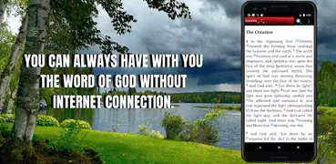 Bible NKJV (English), No internet connection