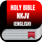 Bible NKJV (English), No internet connection アイコン