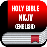 Bible NKJV (English), No internet connection आइकन