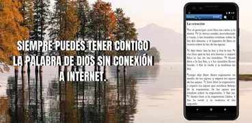Bible NVI (Spanish), No internet connection